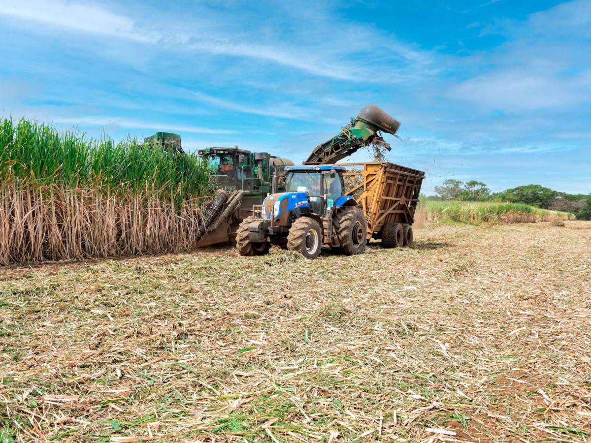 Nicaragua registró la zafra más dulce en 2021