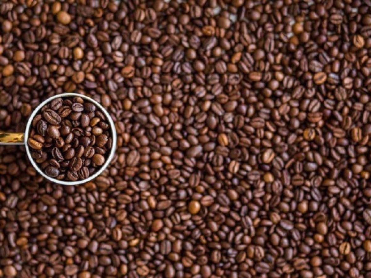 Honduras cuenta con planta de alta tecnología para procesar café