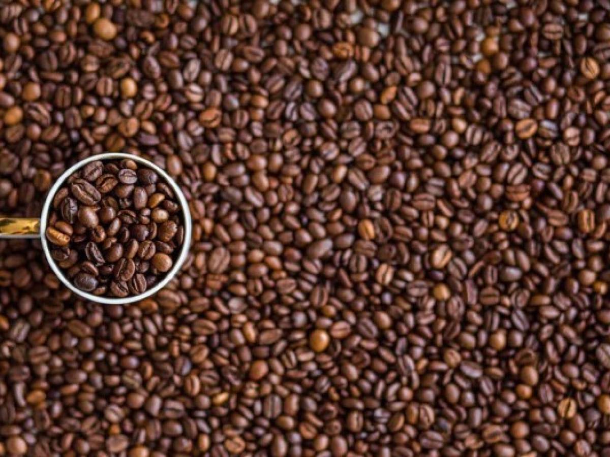 Honduras cuenta con planta de alta tecnología para procesar café