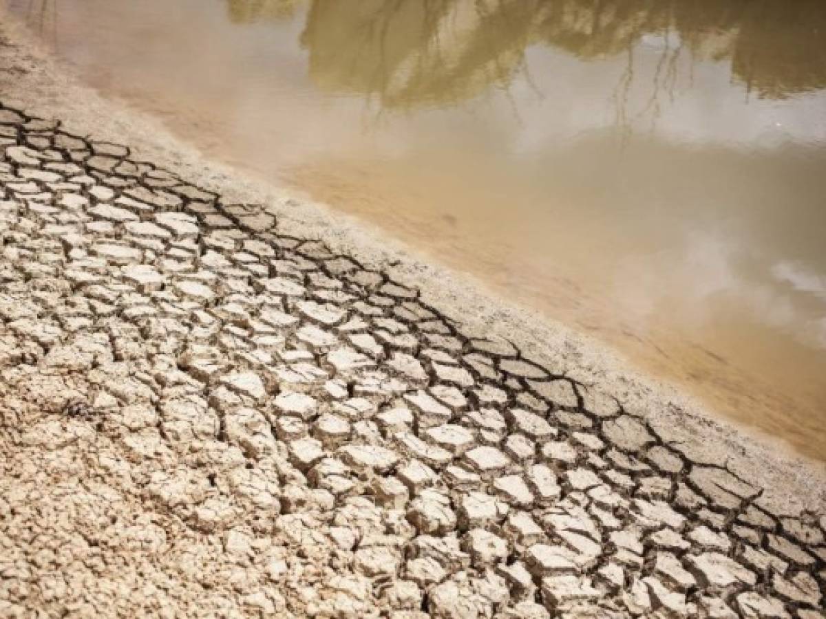 Cuatro países del mundo podrían sufrir crisis de agua como la de Ciudad del Cabo