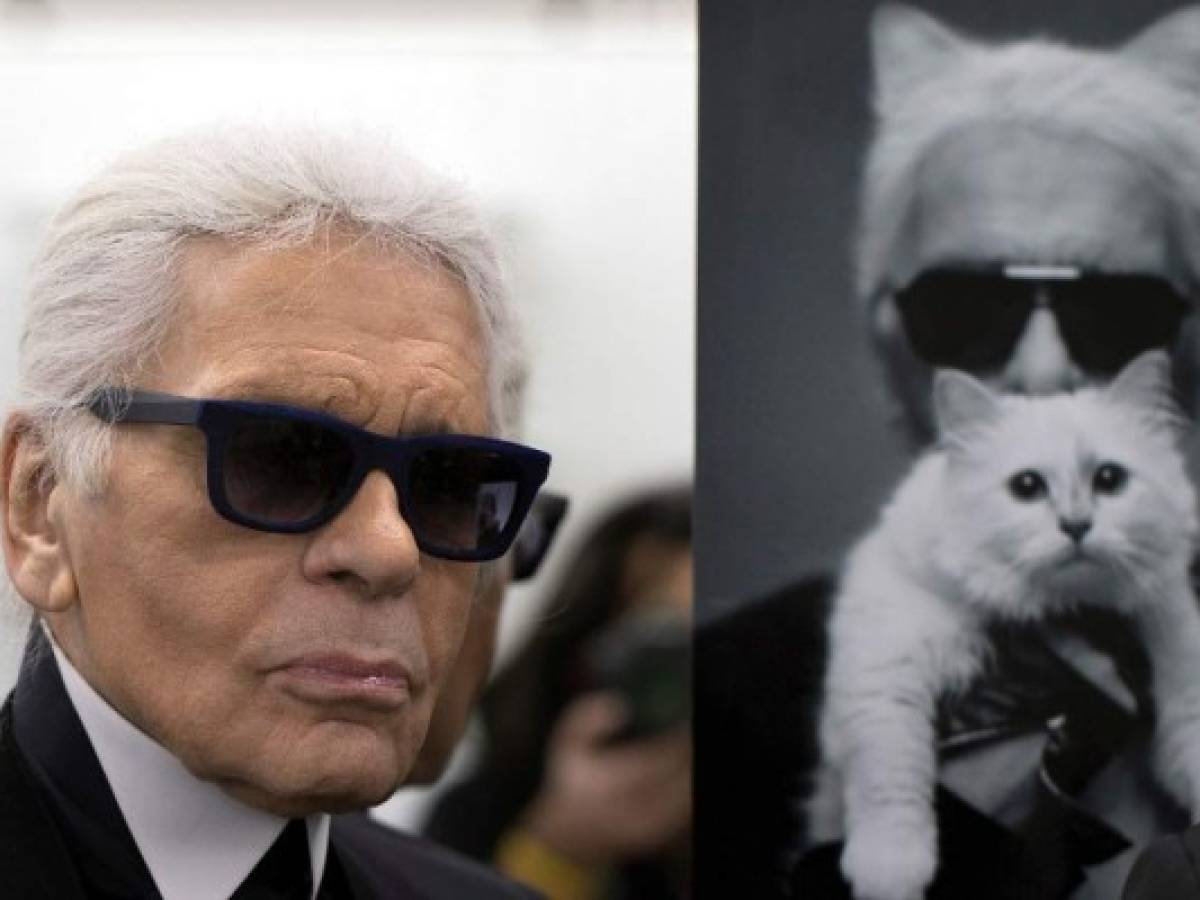 Choupette, la mascota mimada que heredará parte de la fortuna de Lagerfeld