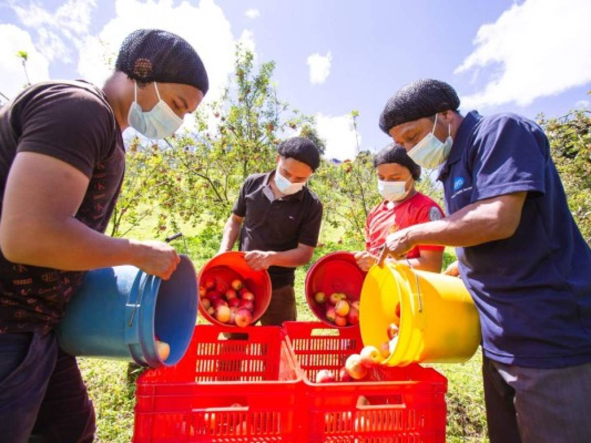 Walmart hace realidad los sueños de pequeños agricultores