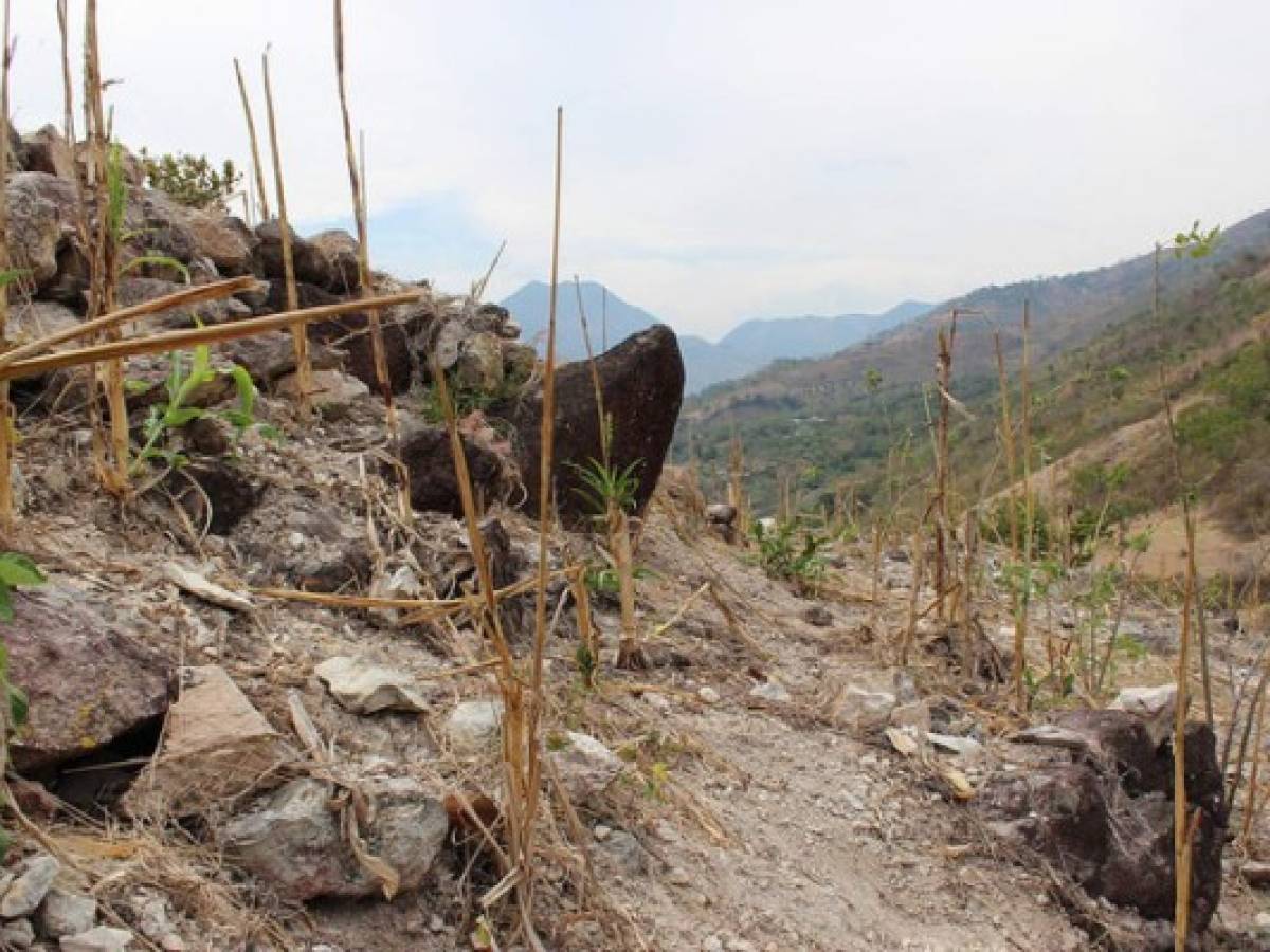 Cambio climático traerá más sequías para Centroamérica