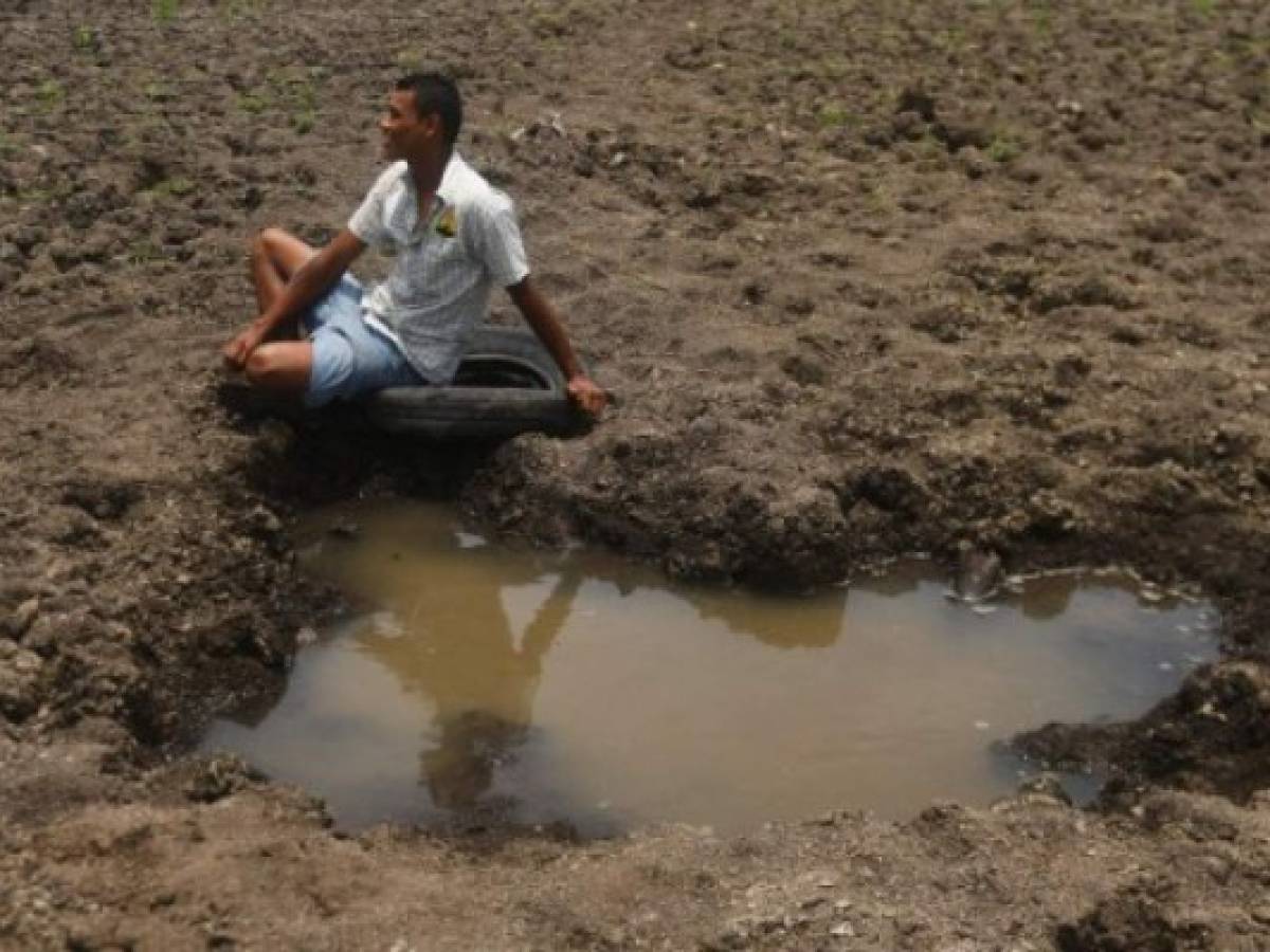 Cambio climático hace estragos en corredor seco de Centroamérica