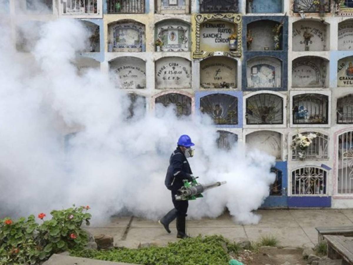 América Latina en pie de guerra contra el mosquito que propaga el Zika