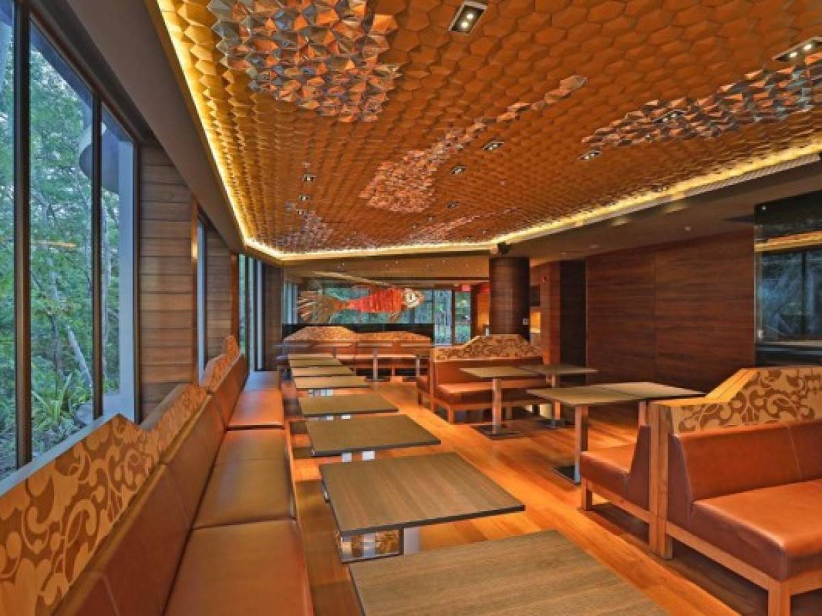 Hotel W Costa Rica recibe Premio al Mejor Desarrollo Hotelero de América Latina 2018