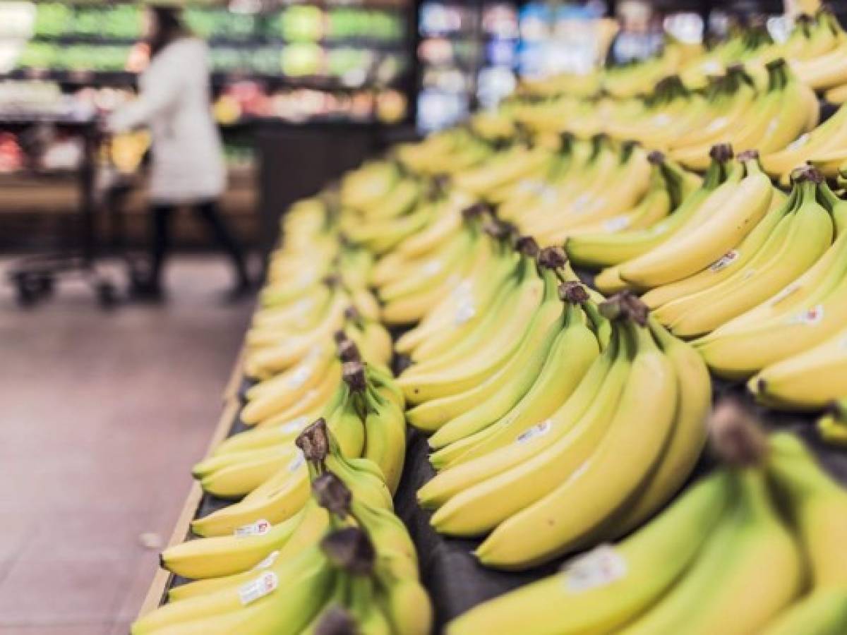 Brote de hongo que afecta al banano activa las alarmas en la región