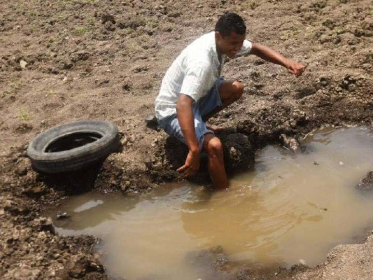 Foto: Estrategia y Negocios