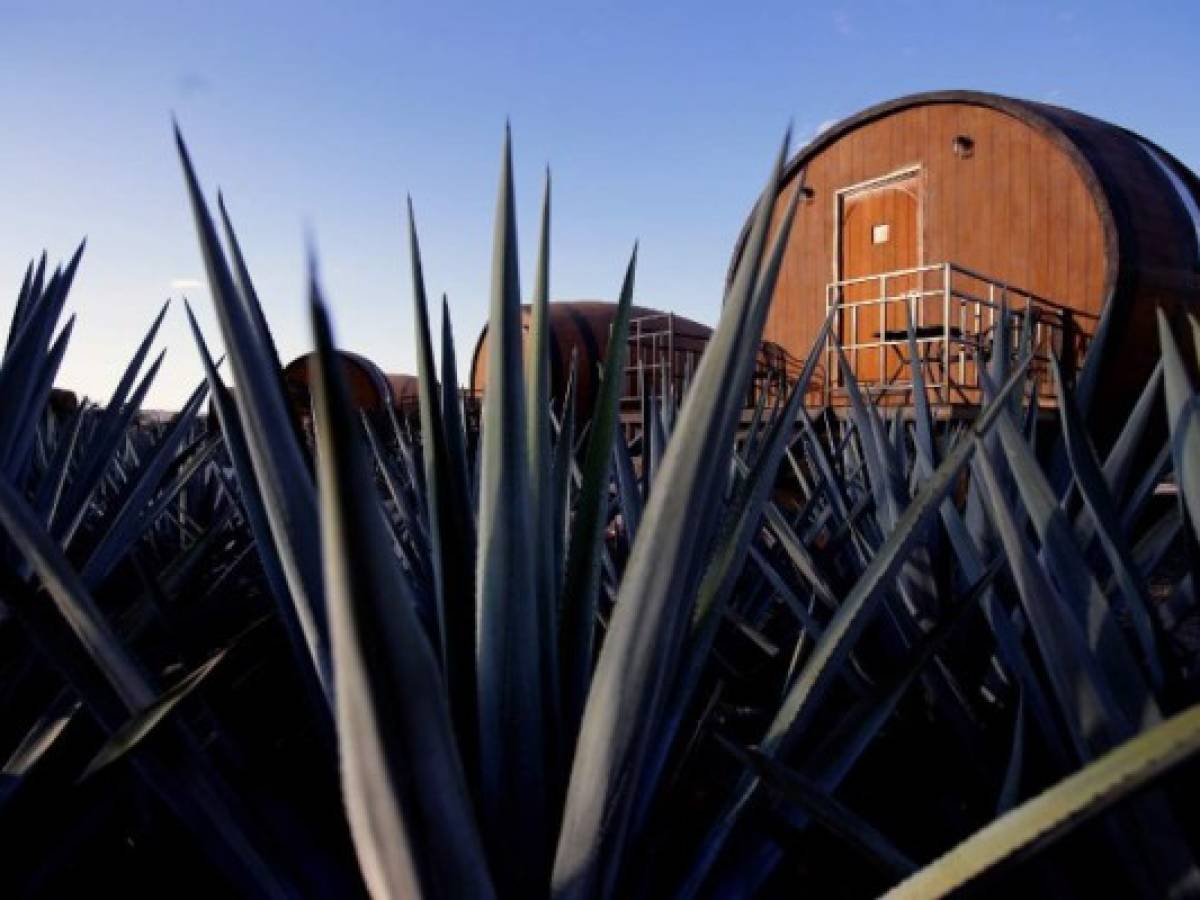 Hotel mexicano ofrece a sus huéspedes dormir dentro de barrica de tequila