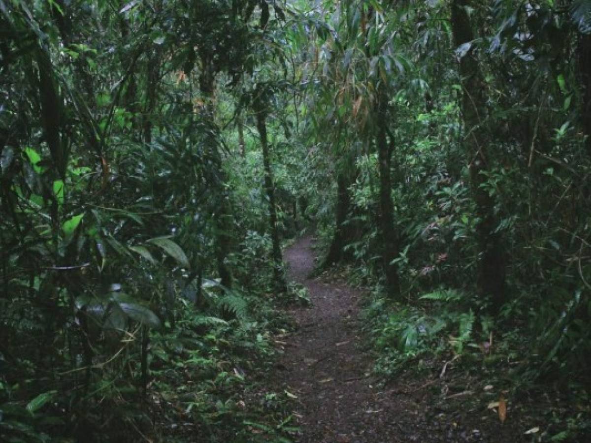 Tres costarricenses reciben premio internacional por su lucha contra el cambio climático