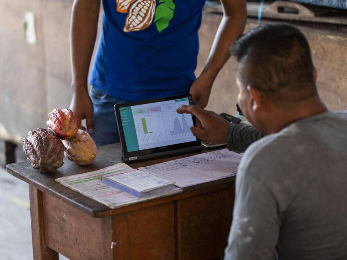 Programa Innovatech 2.0 apoyará 16 startups para la digitalización de productores agropecuarios