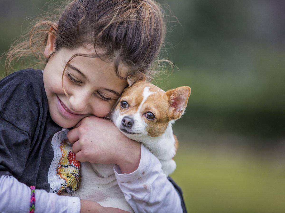 Día Mundial del Perro: 5 Actividades ideales para compartir junto a su mascota