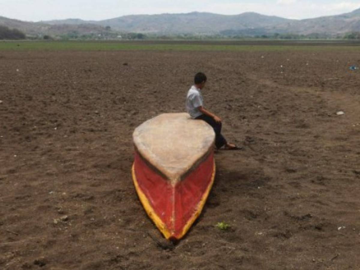 Cambio climático hace estragos en corredor seco de Centroamérica