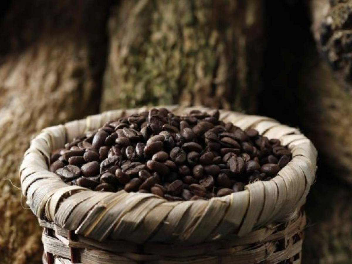 Costa Rica mantiene ritmo de exportaciones de café pese a pandemia