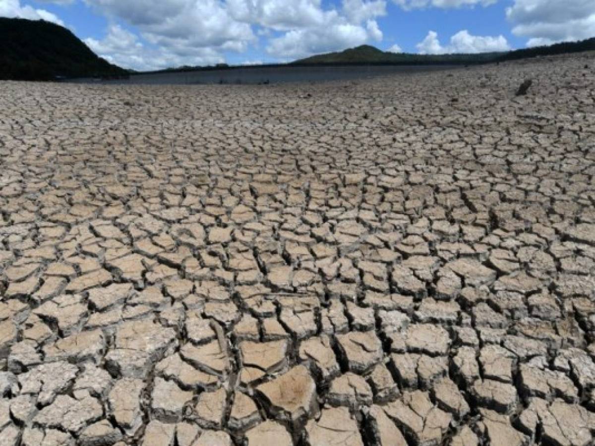 Honduras vive emergencia por sequía