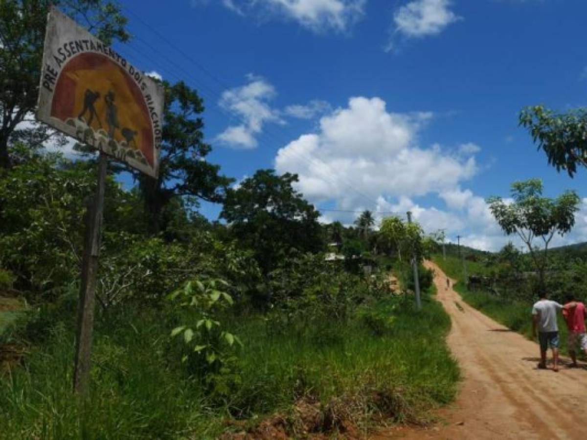 Instalados a 80 kilómetros del litoral de Bahía (noreste), estos pequeños cultivadores, antaño sin tierras, producen cacao, frutas y verduras sin utilizar fertilizantes ni pesticidas químicos.