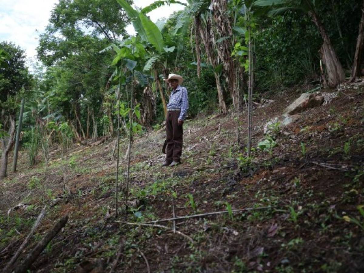 ONU: Calentamiento global amenaza con socavar esfuerzos para reducir la desigualdad