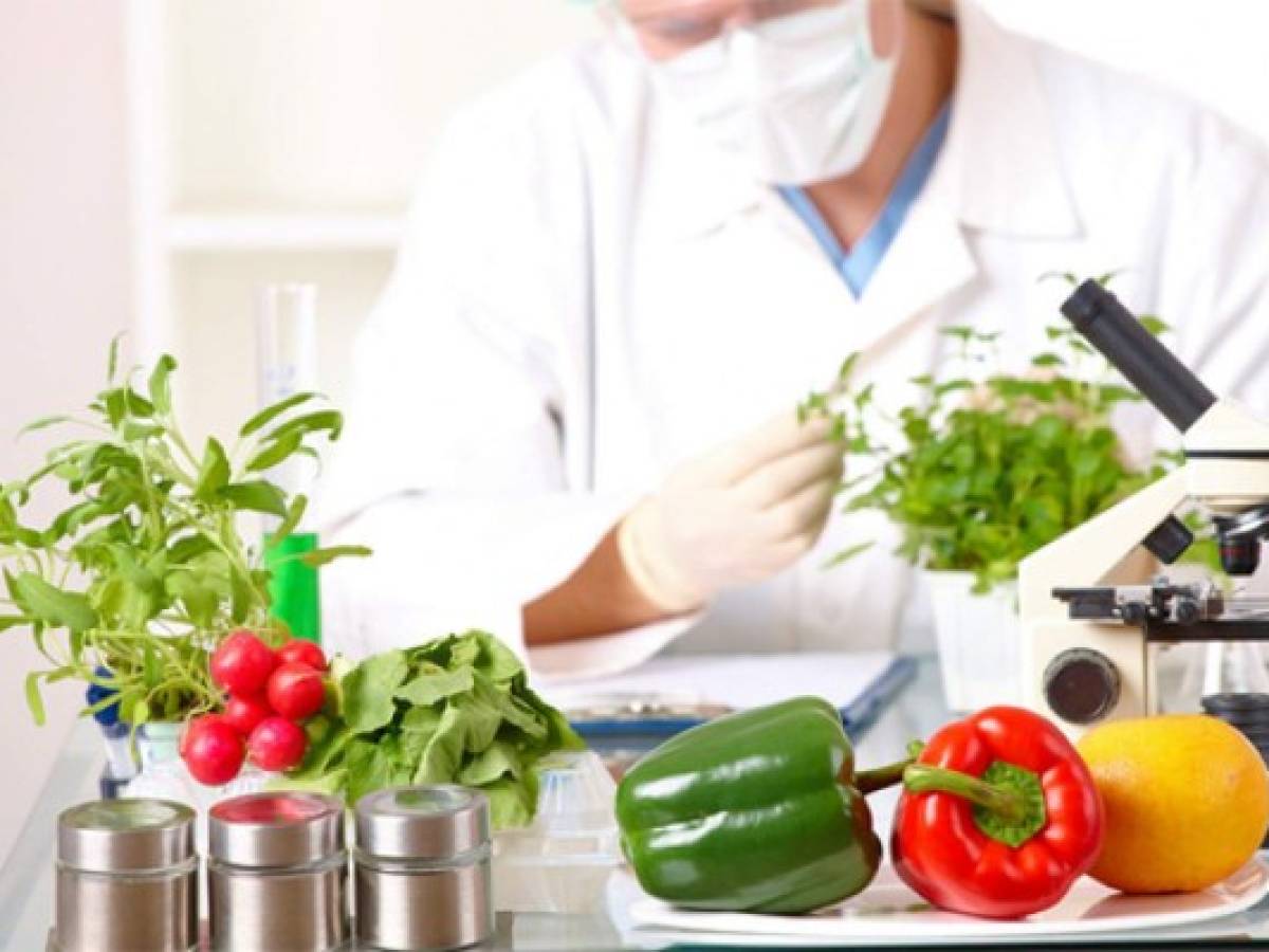 Ciencia e innovación evitarían la escasez de alimentos al llegar a 2050