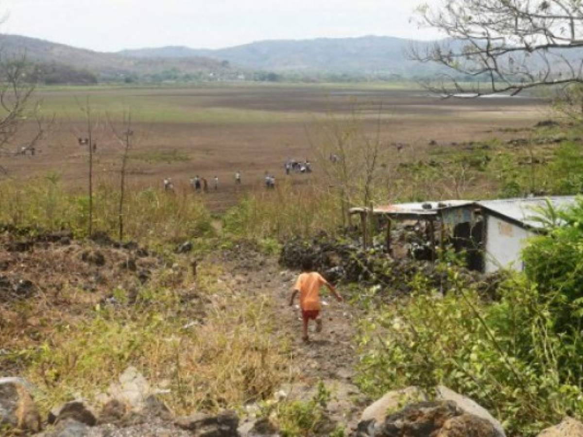 Cambio climático hace estragos en corredor seco de Centroamérica