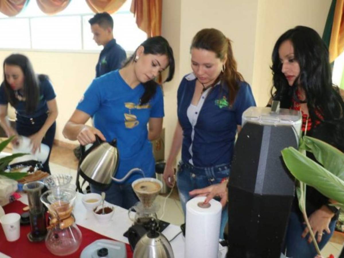 Las mujeres producen el 20% del café en Honduras   
