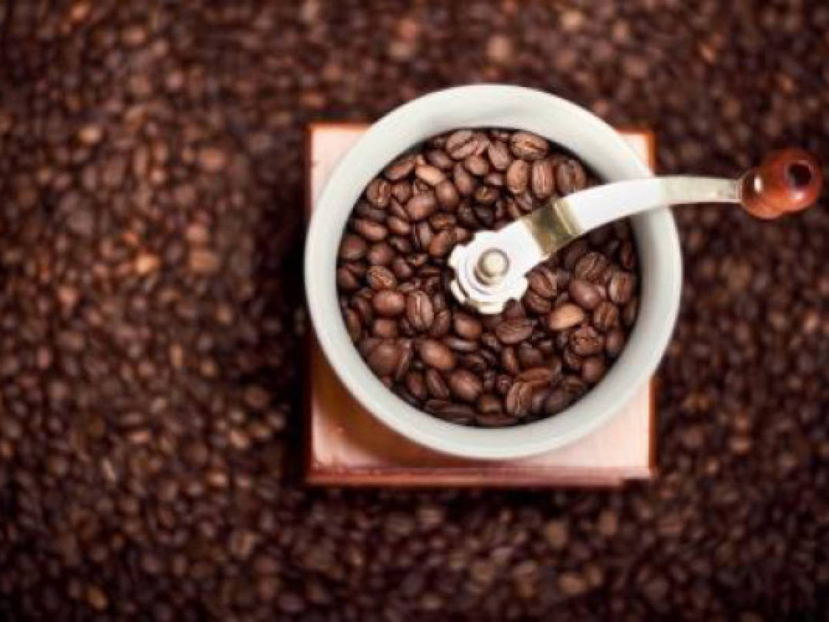 Costa Rica: BCR administrará fideicomiso cafetalero