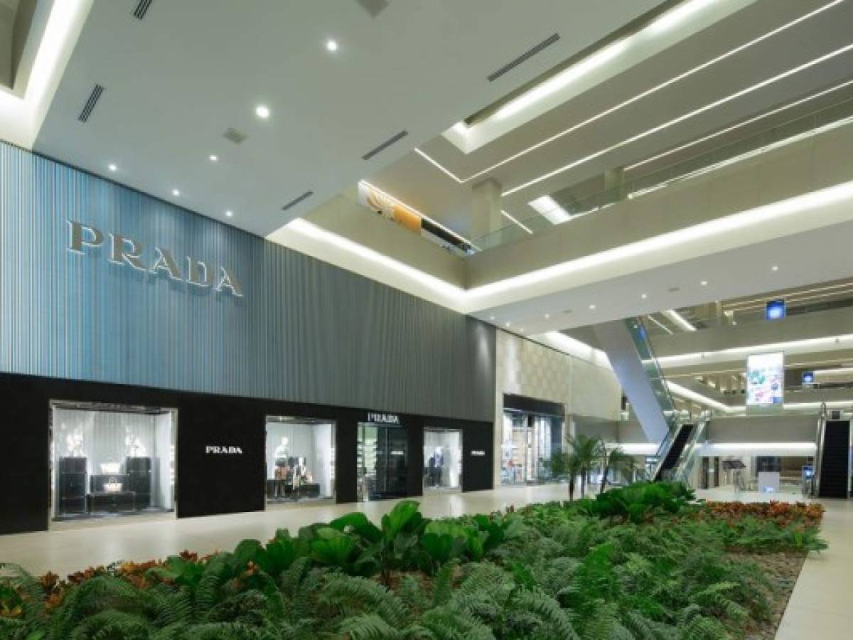 Prada llega a Panamá