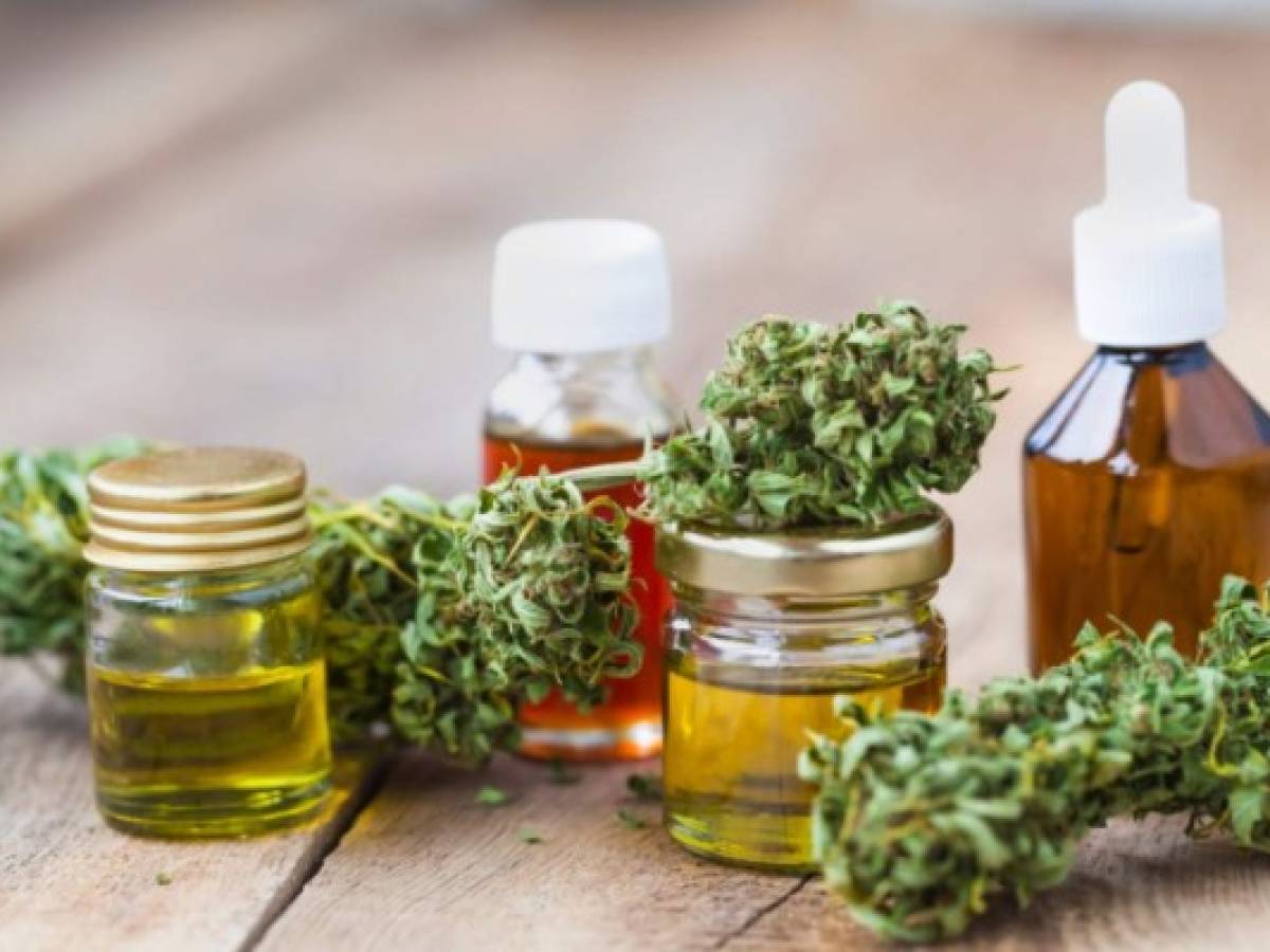 Extractos de la cannabis reducen la posibilidad de enfermar de COVID-19, según estudio