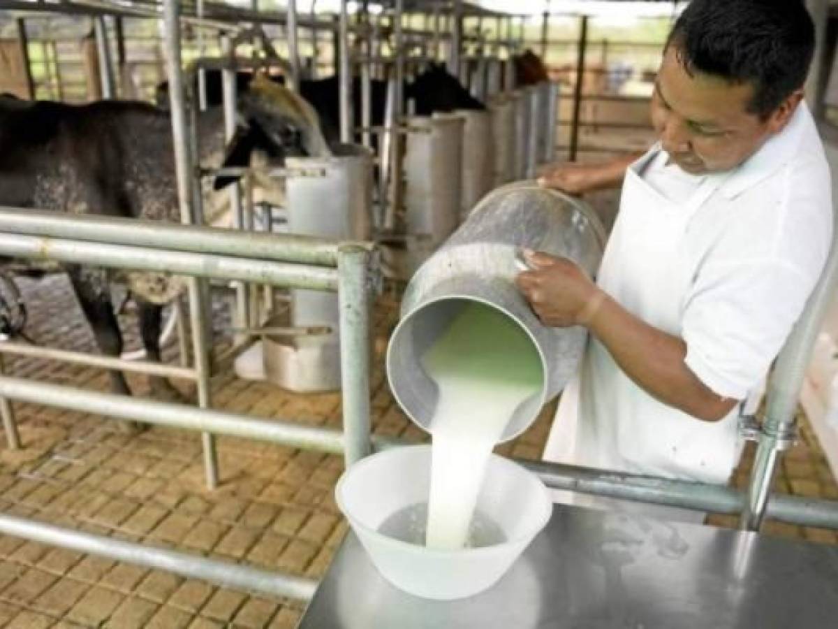 Lácteos de Nicaragua registran millonarias pérdidas por obstáculos comerciales en Centroamérica