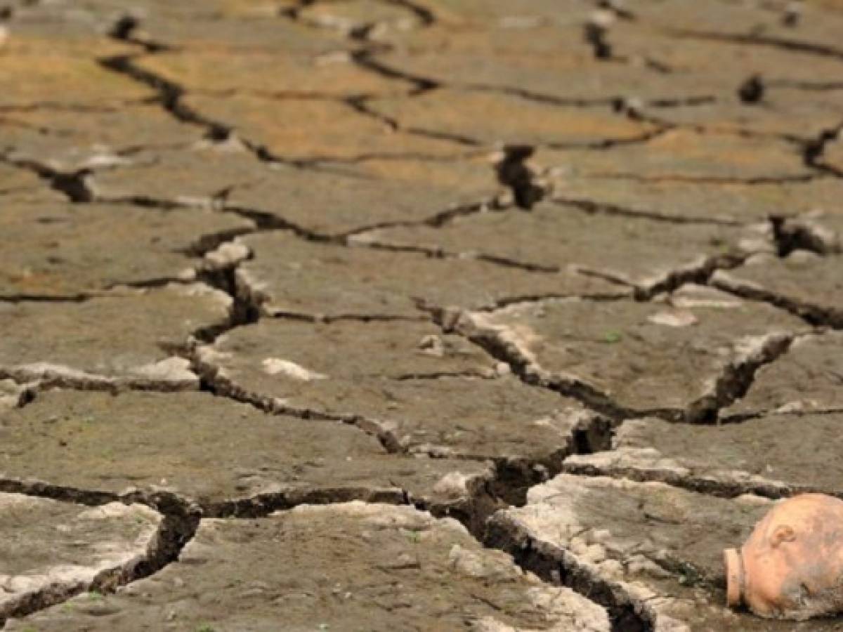 Sequía por fenómeno El Niño afecta a 2,3 millones de centroamericanos