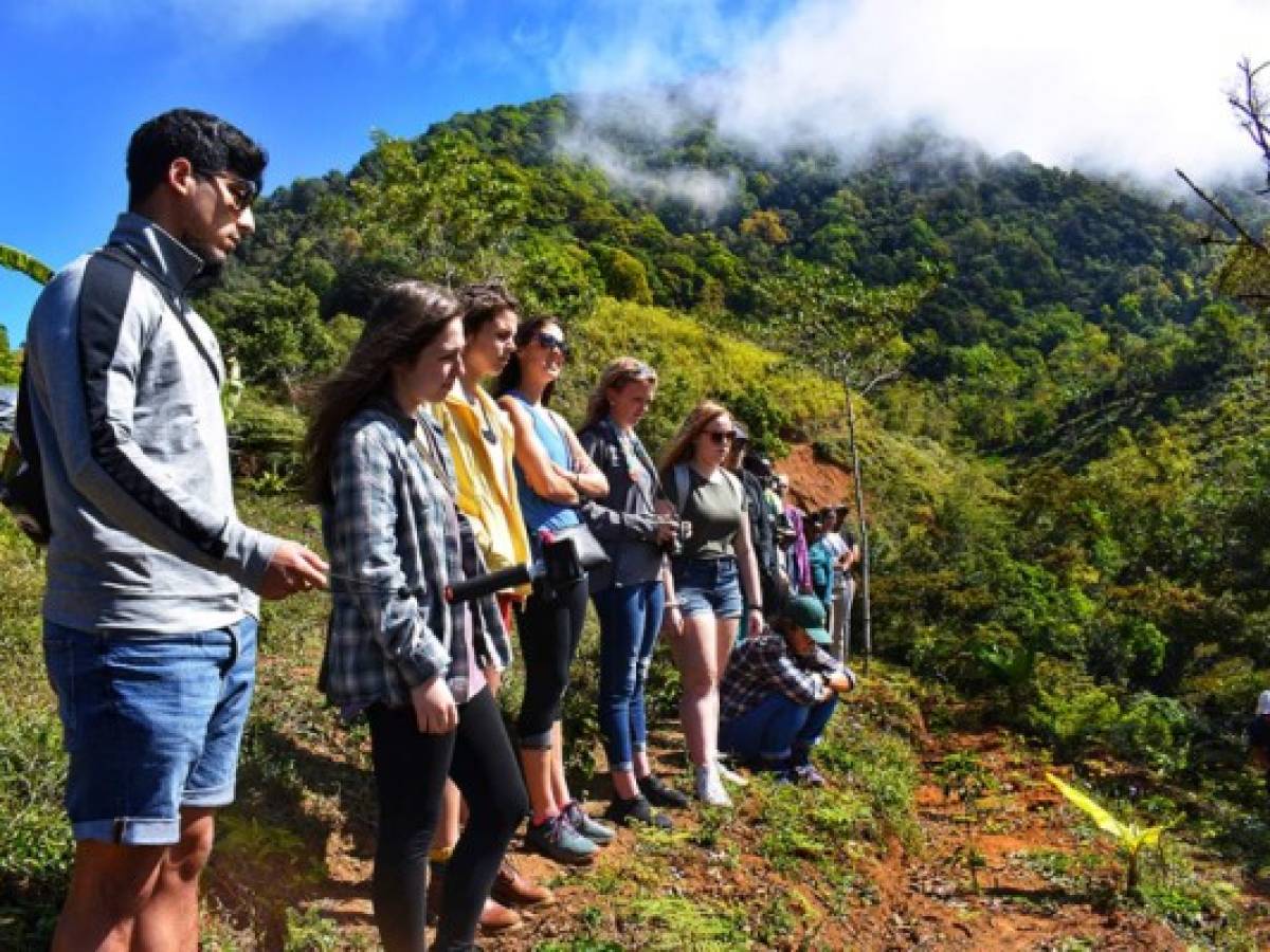 Costa Rica lidera en mayor porcentaje de compradores preocupados por el medio ambiente