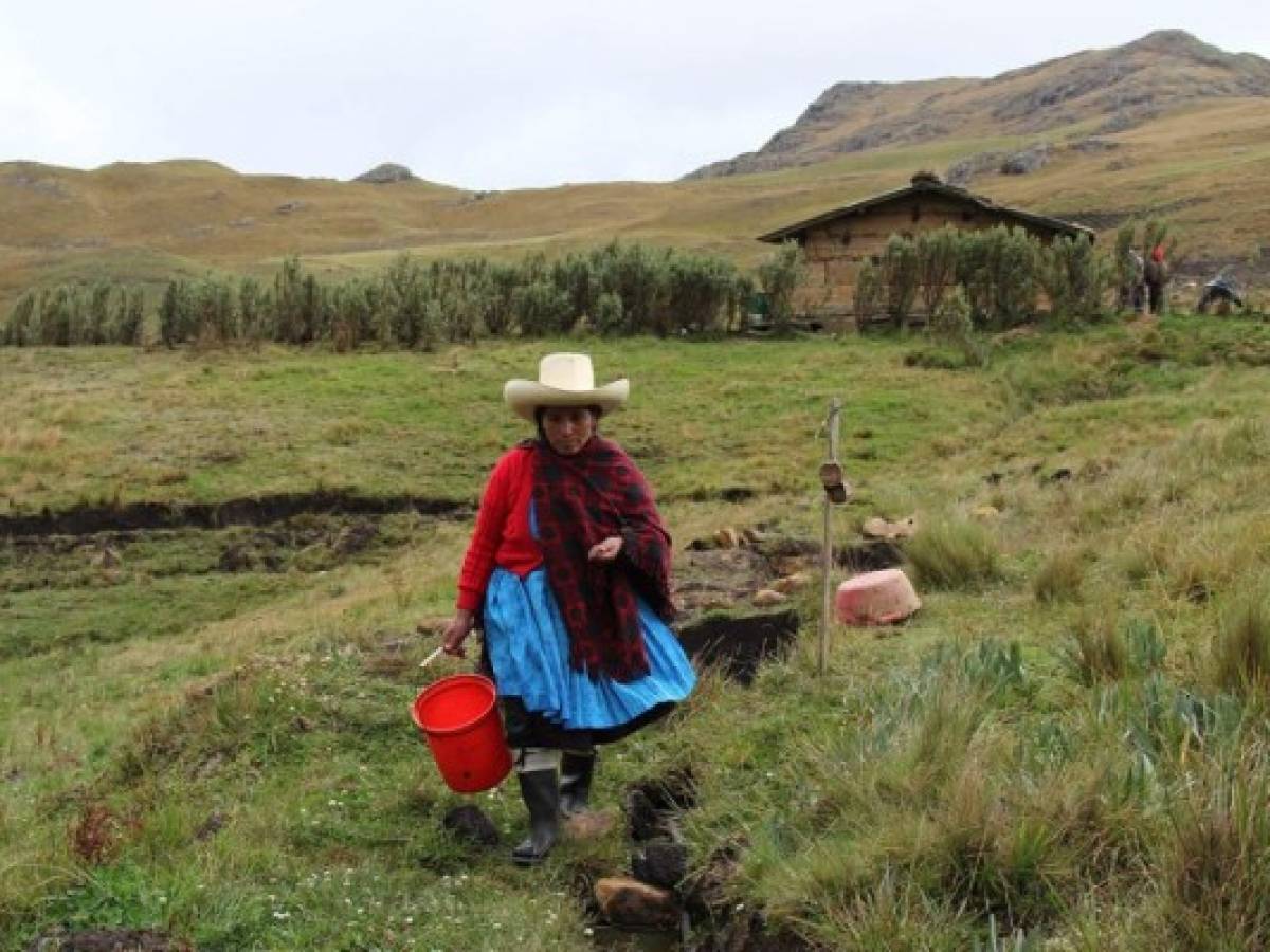Una humilde campesina peruana se enfrenta a gigante minera