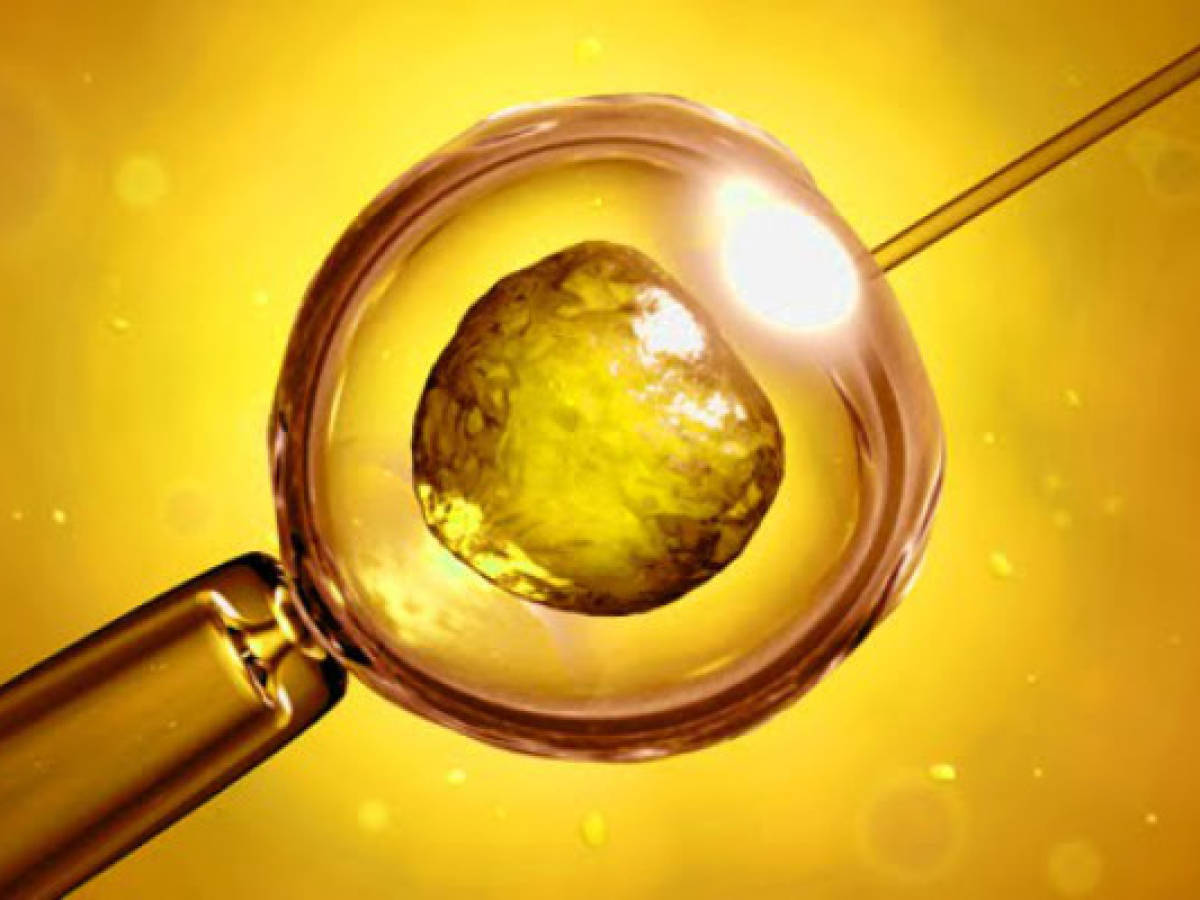 Urgen a Costa Rica cumplir sentencia sobre fecundación in vitro