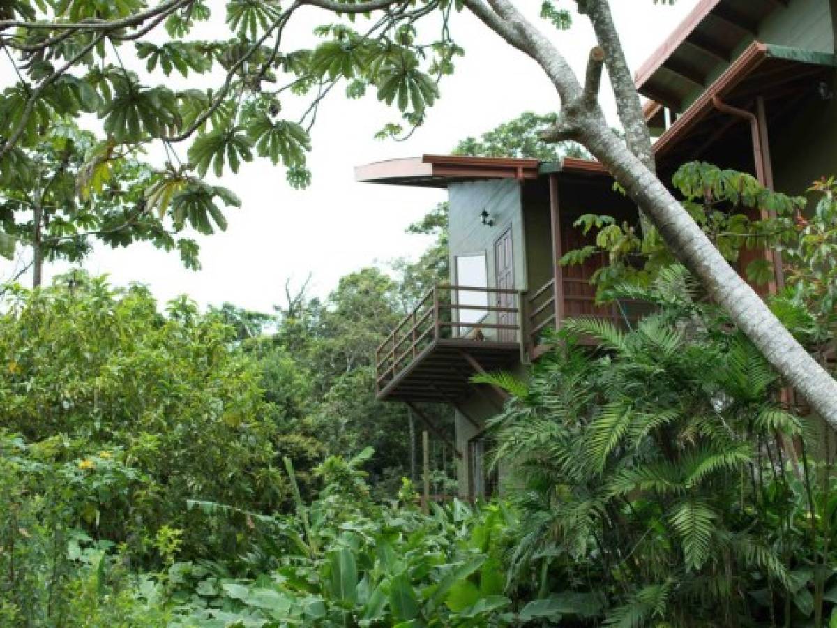 Hotel Cala Lodge en Monteverde se reinventa en Costa Rica