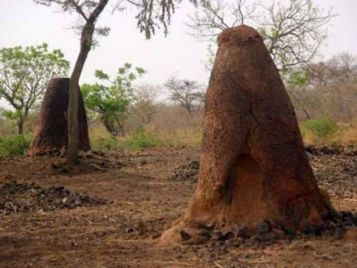 UNESCO inscribe 22 nuevos lugares como Patrimonio Mundial