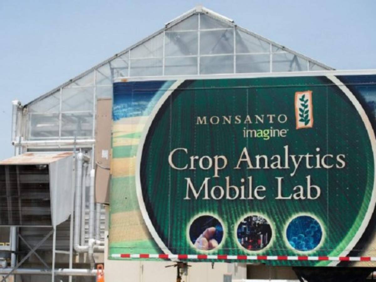Si compra Monsanto, la polémica herencia de los transgénicos sería para Bayer