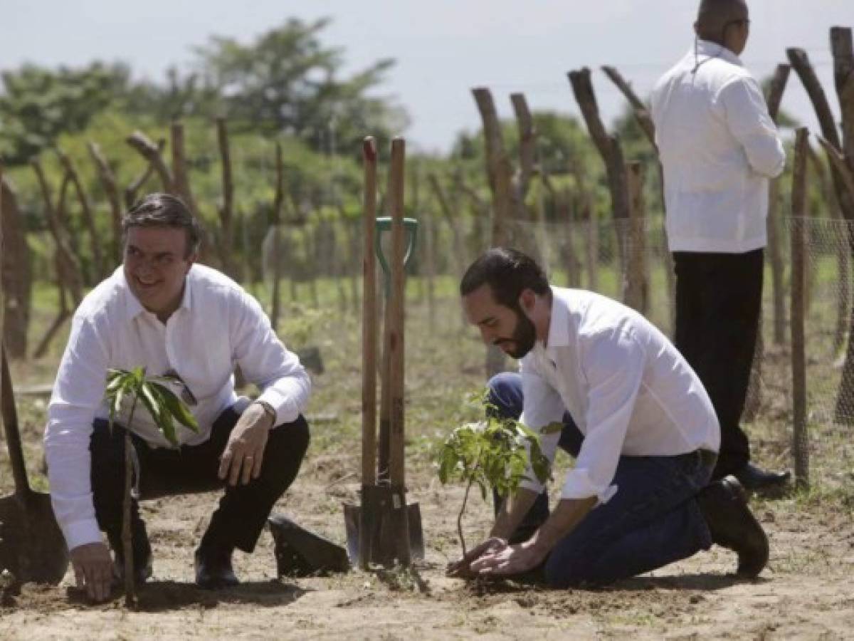 El Salvador y México lanzan un plan agroforestal para atenuar la migración