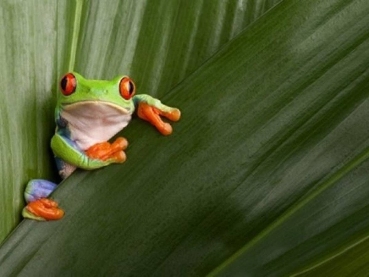 Centroamérica se une en promoción de turismo en Europa