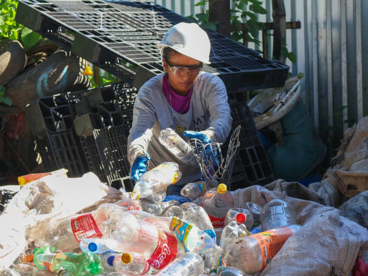 Fundemás impulsa reciclaje inclusivo para fortalecer cadenas de valor en la recolección de residuos