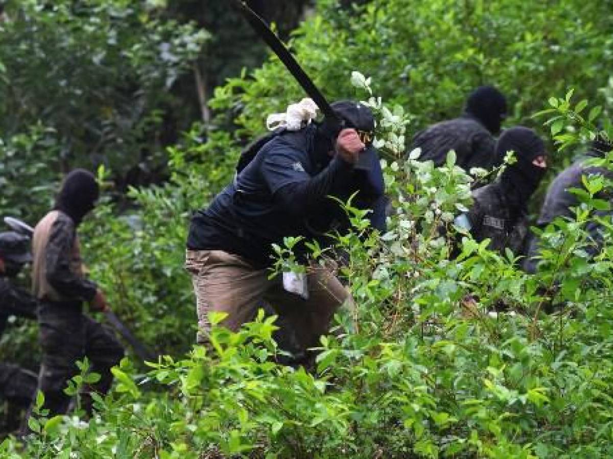 Honduras enciende alarmas al pasar de puente a productor de cocaína