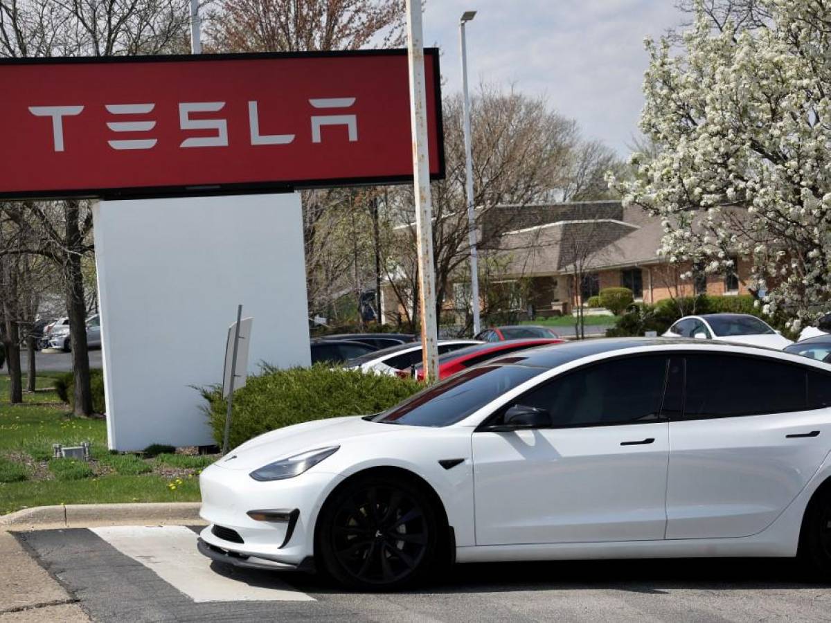 La rebaja de precios de sus vehículos pasa factura a Tesla