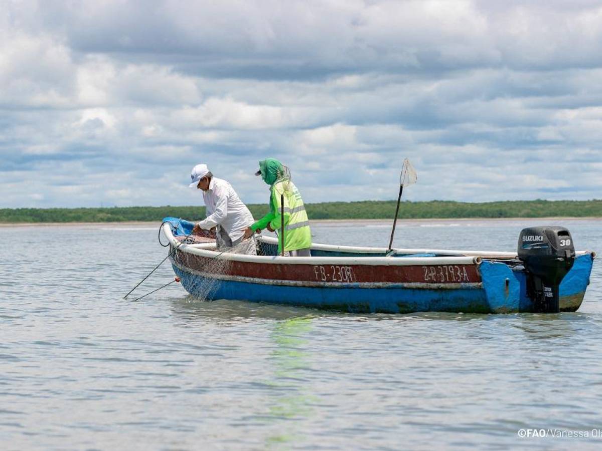 Crean nueva red para acuicultores de Mesoamérica