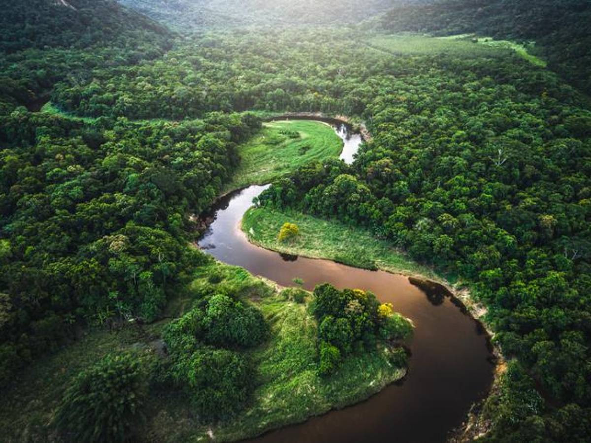 BM: Brasil debe invertir 0,5 % del PIB para lograr metas climáticas