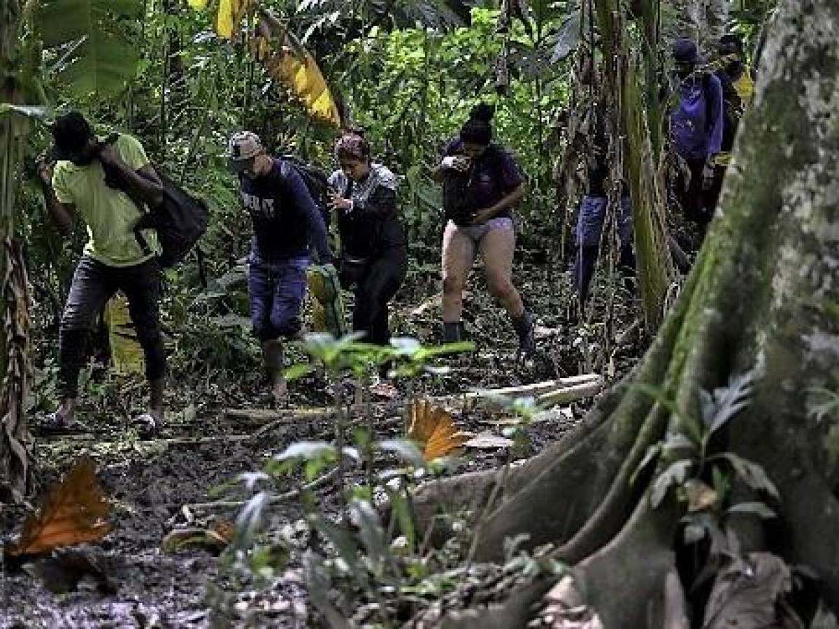 Más de 40.000 migrantes cruzaron la selva del Darién en abril