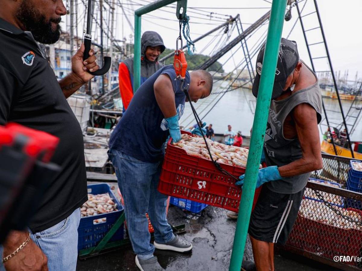 Impulsan el extensionismo acuícola con un enfoque de autogestión