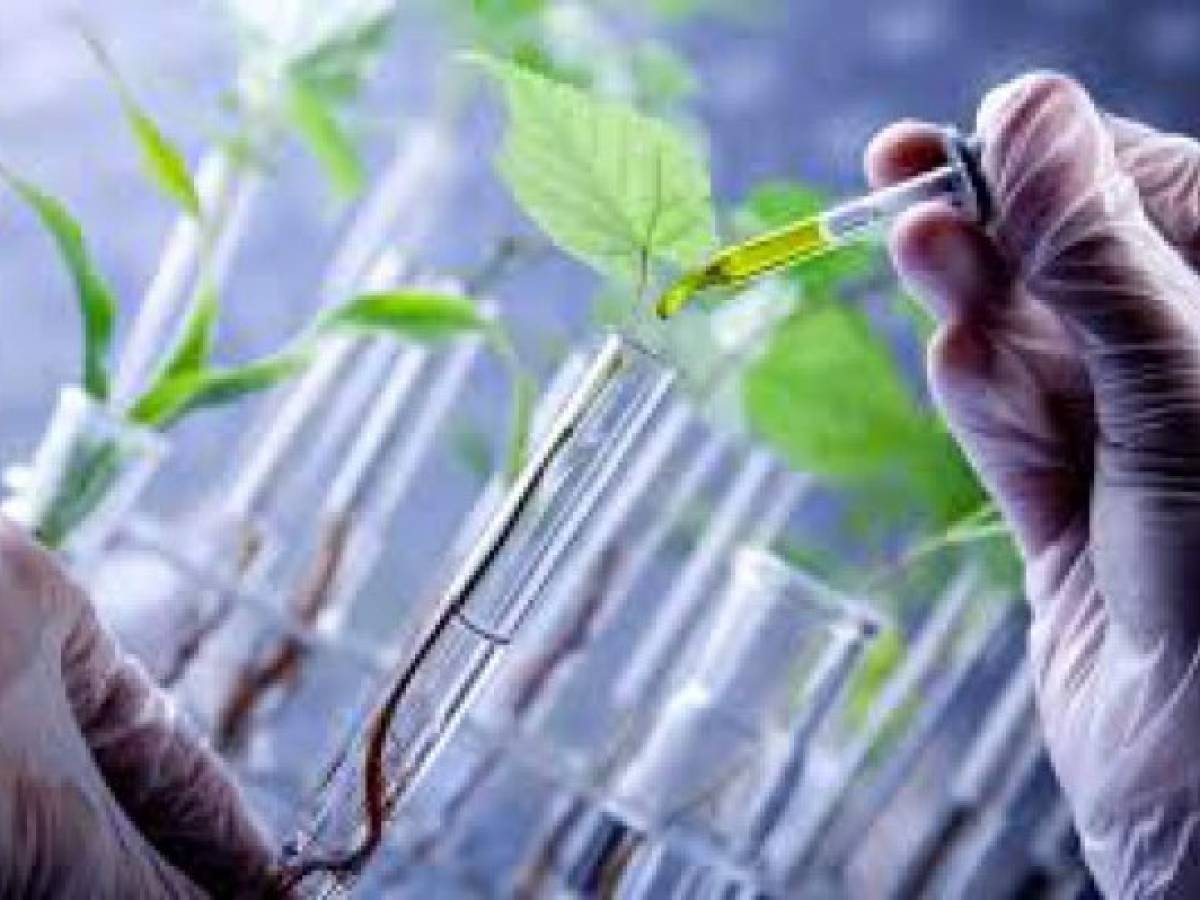 IICA: Costa Rica tiene potencial para la bioeconomía