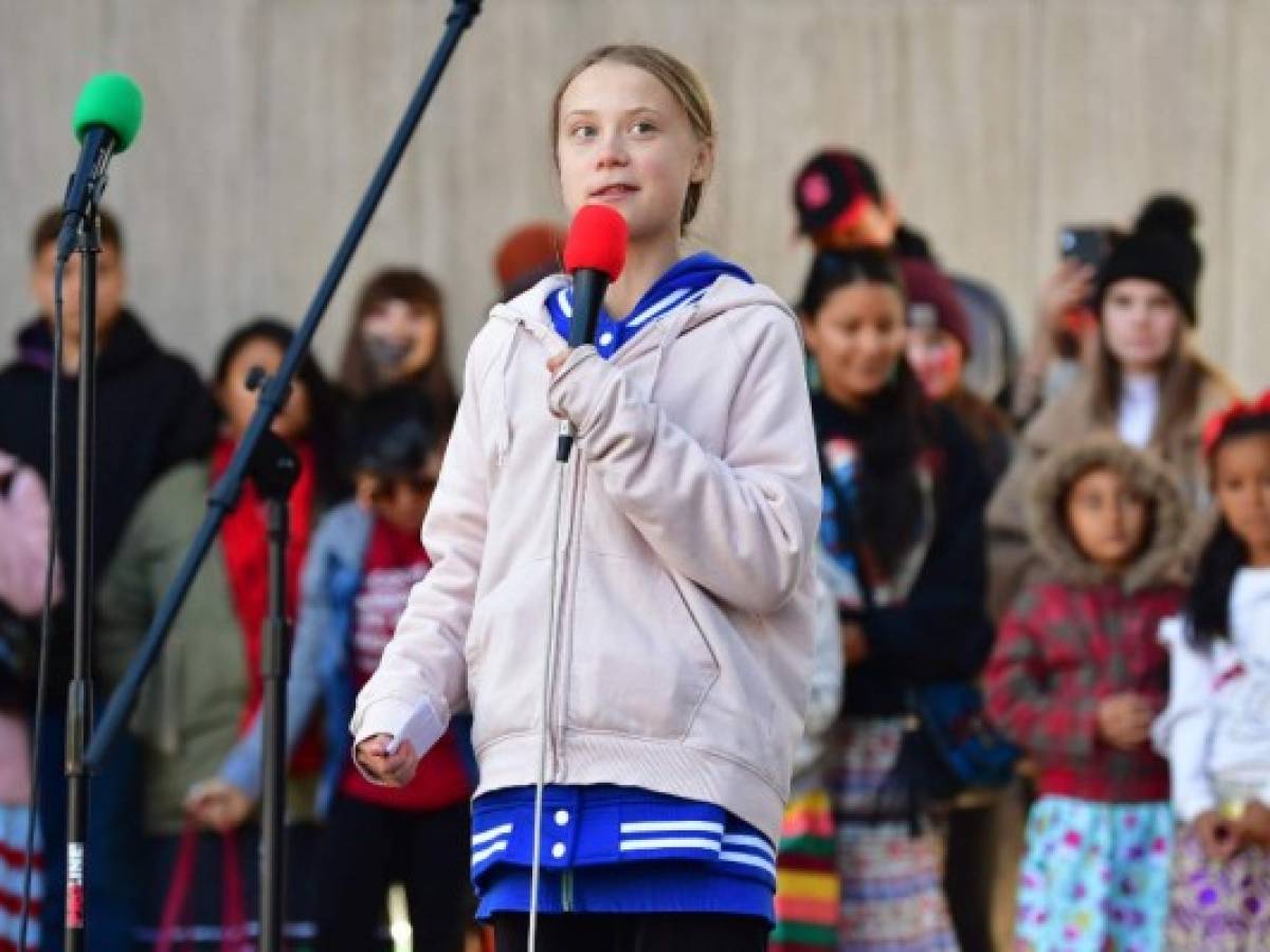 Greta Thunberg es el nombre de un nuevo insecto