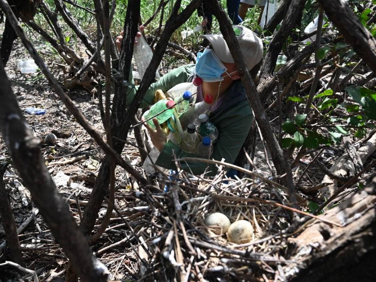 Desechos plásticos cubren santuario de aves en isla del Golfo de Fonseca