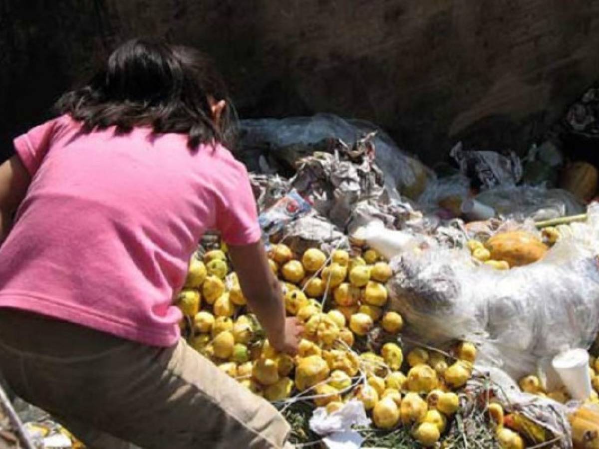 América Latina desperdicia 348.000 toneladas de alimentos por día