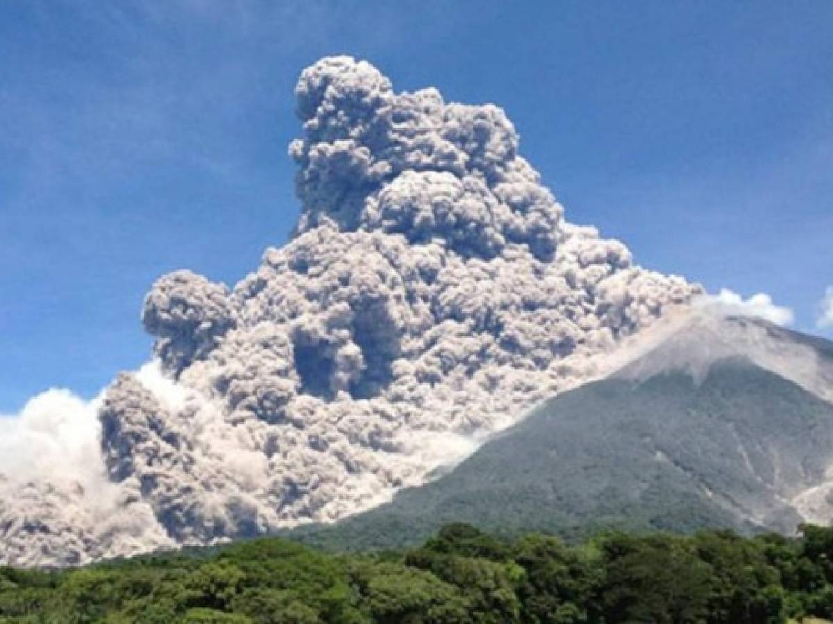 Guatemala: volcán Fuego afectó 8.500 hectáreas de café