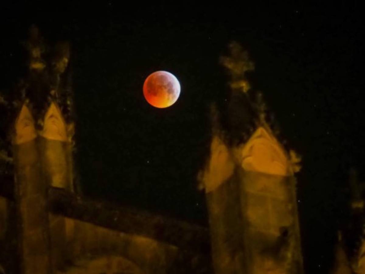 FOTOGALERÍA: El eclipse total de la Luna cautivó al mundo